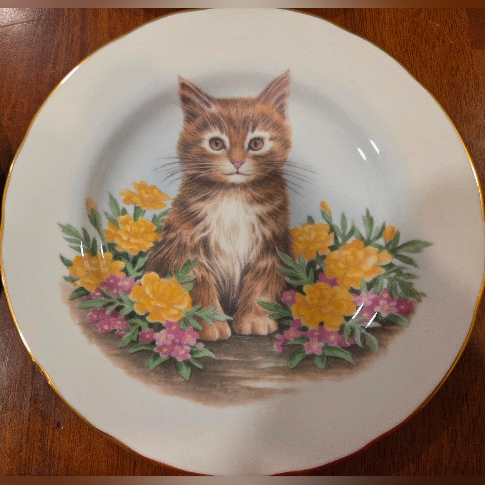Vintage Crown Trent Fine Bone China Kitten Plate
